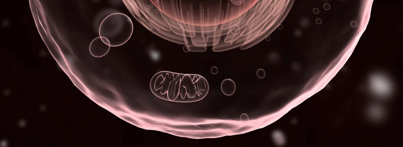Cell-beskuren1