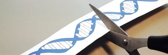 DNA-molekyl som klipps av en sax